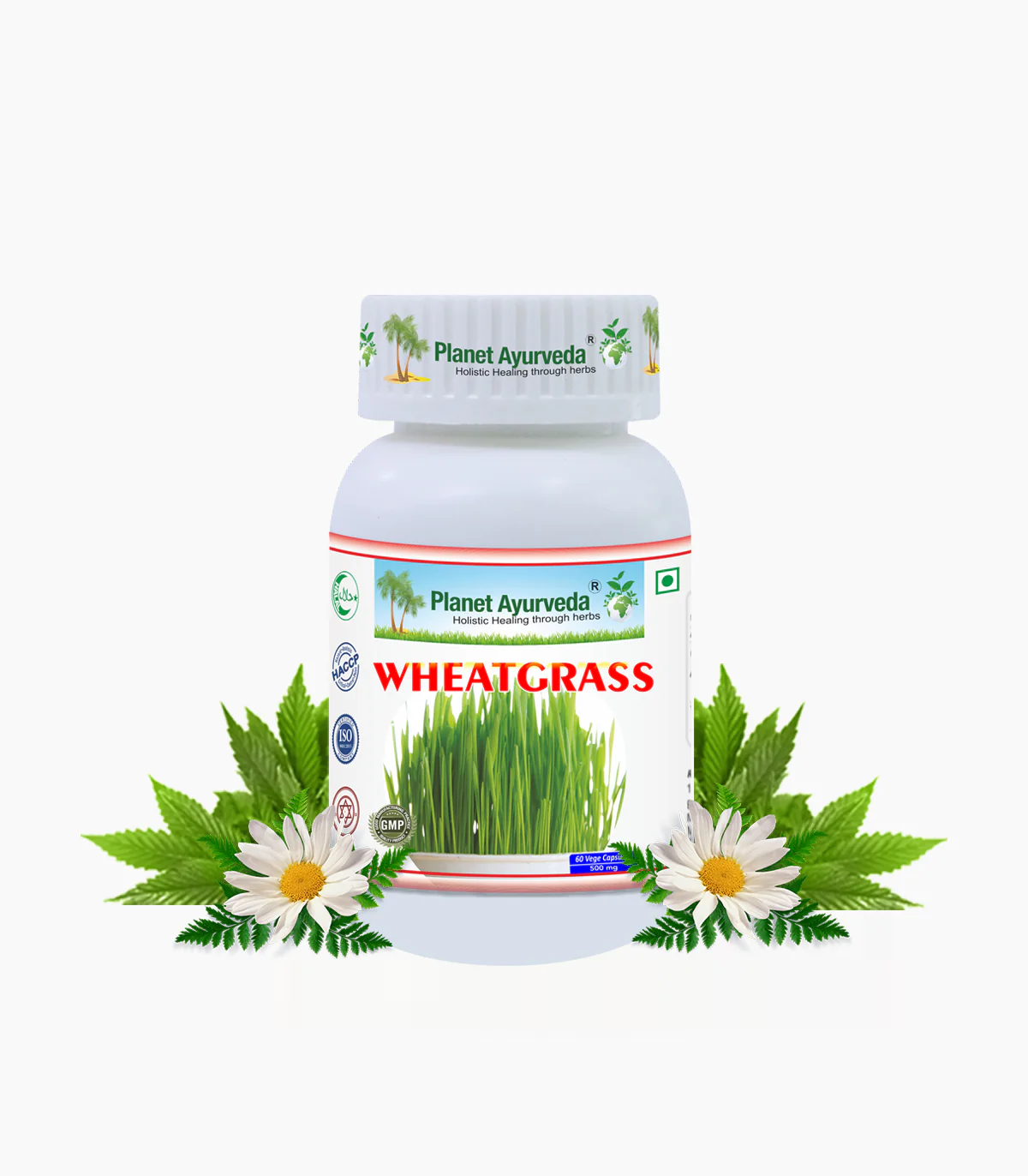 Wheatgrass Capsules