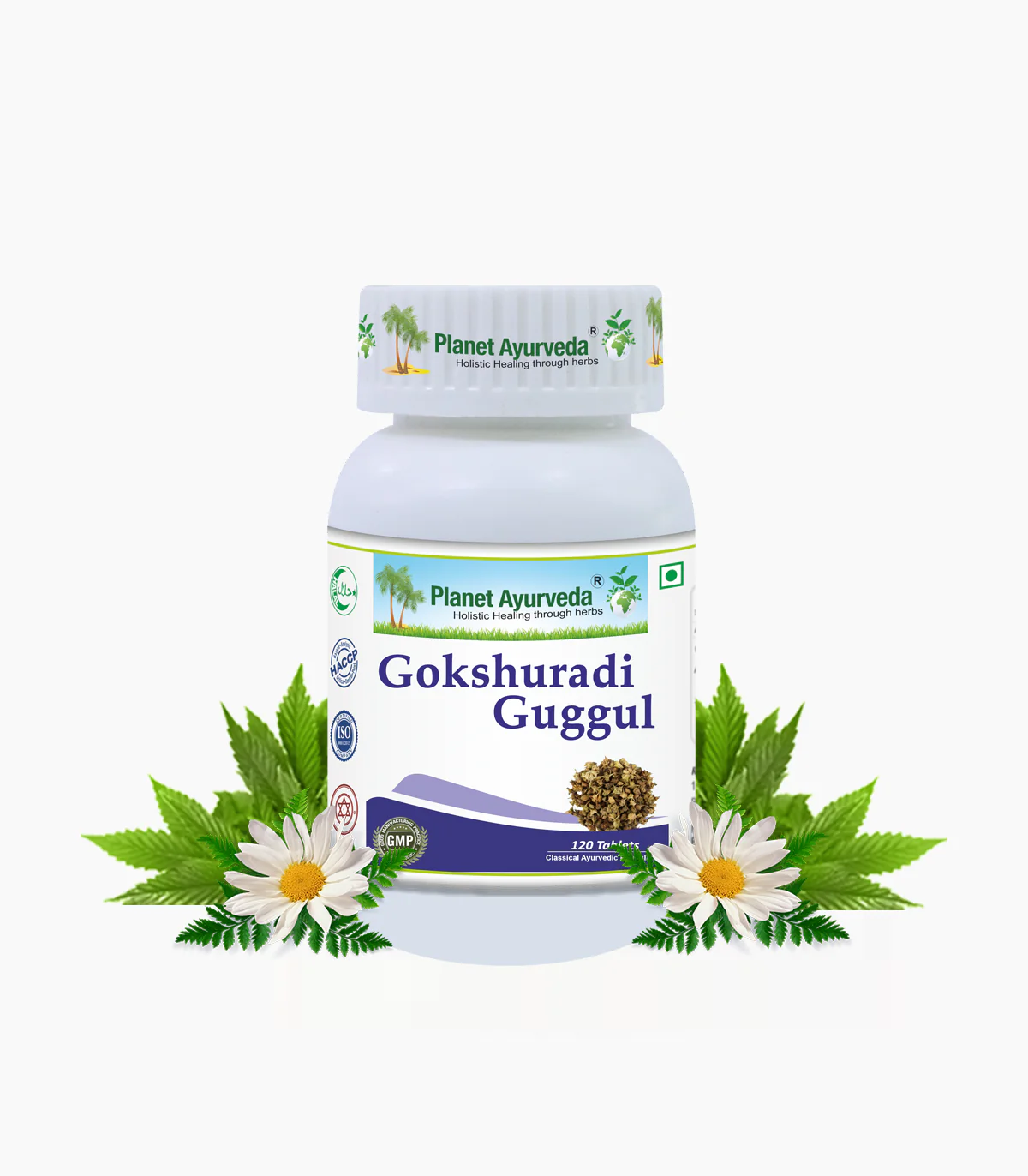 Gokshuradi Guggul