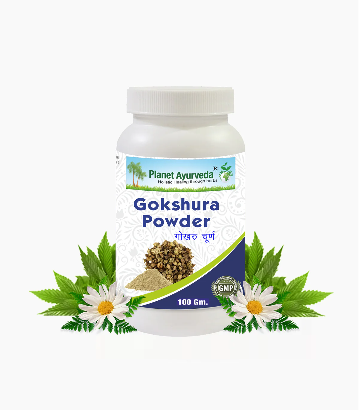 GOKSHURA POWDER
