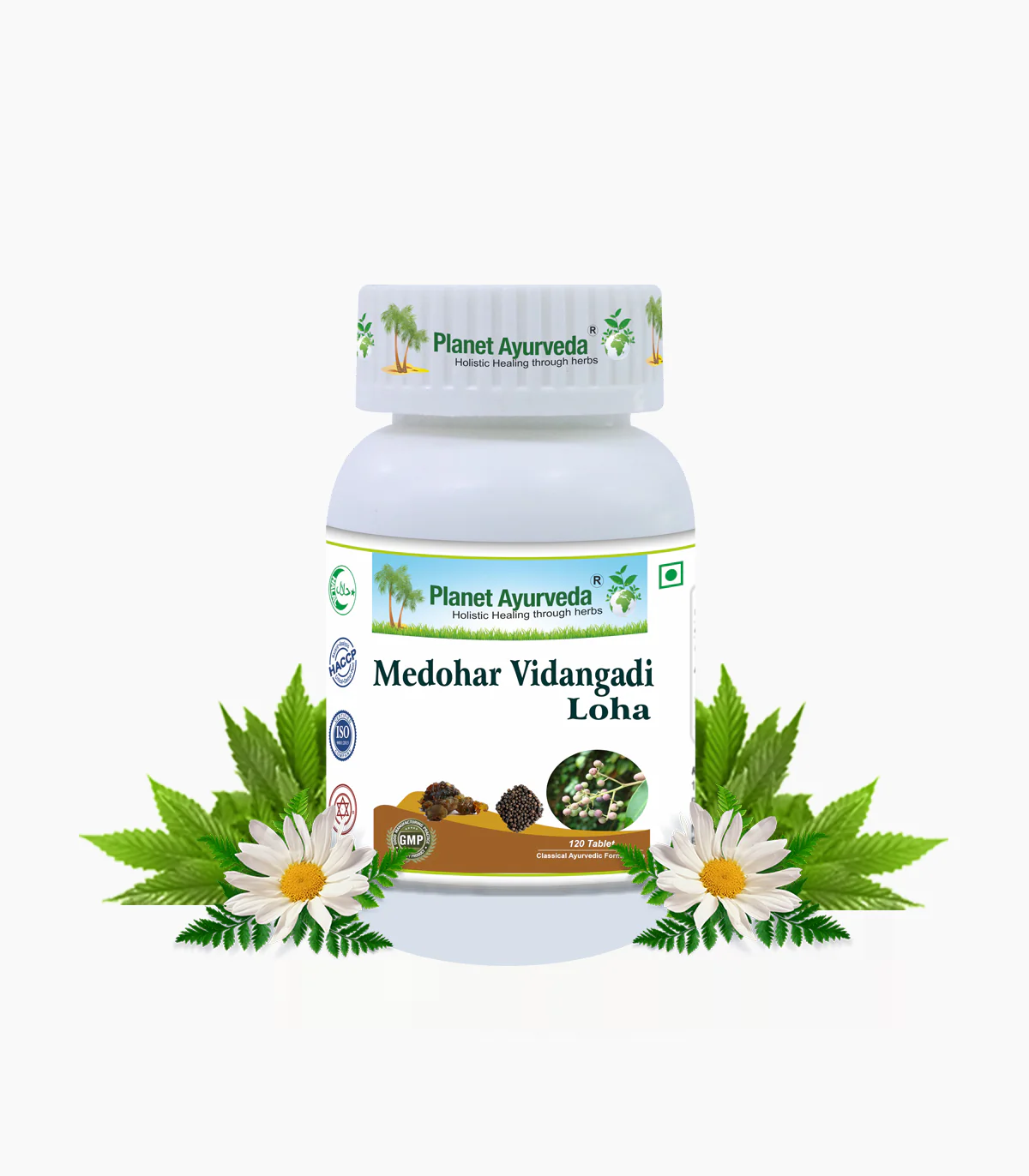 Medohar Vidangadi Loha