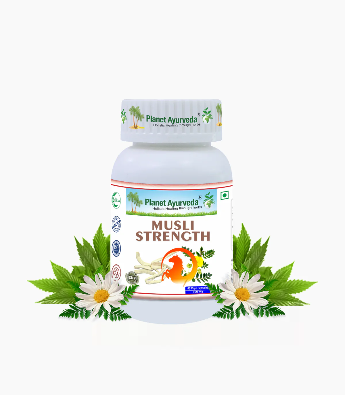 MUSLI STRENGTH CAPSULES