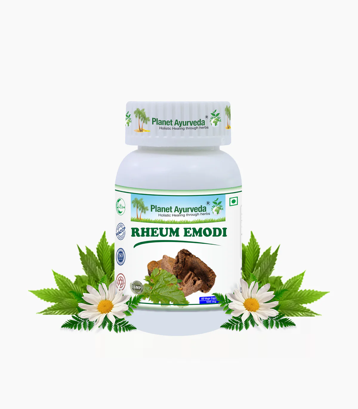Rheum Emodi Capsules