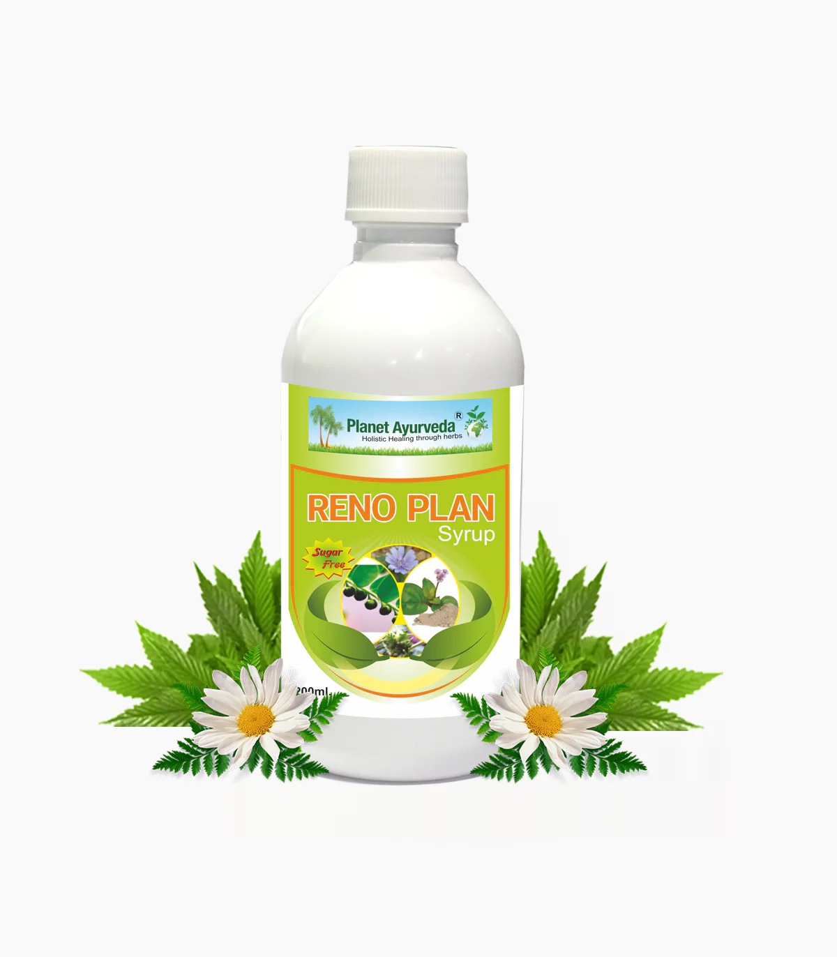 Reno Plan Syrup