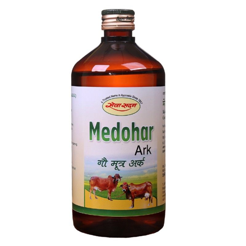 Seva Sadan Medohar Ark
