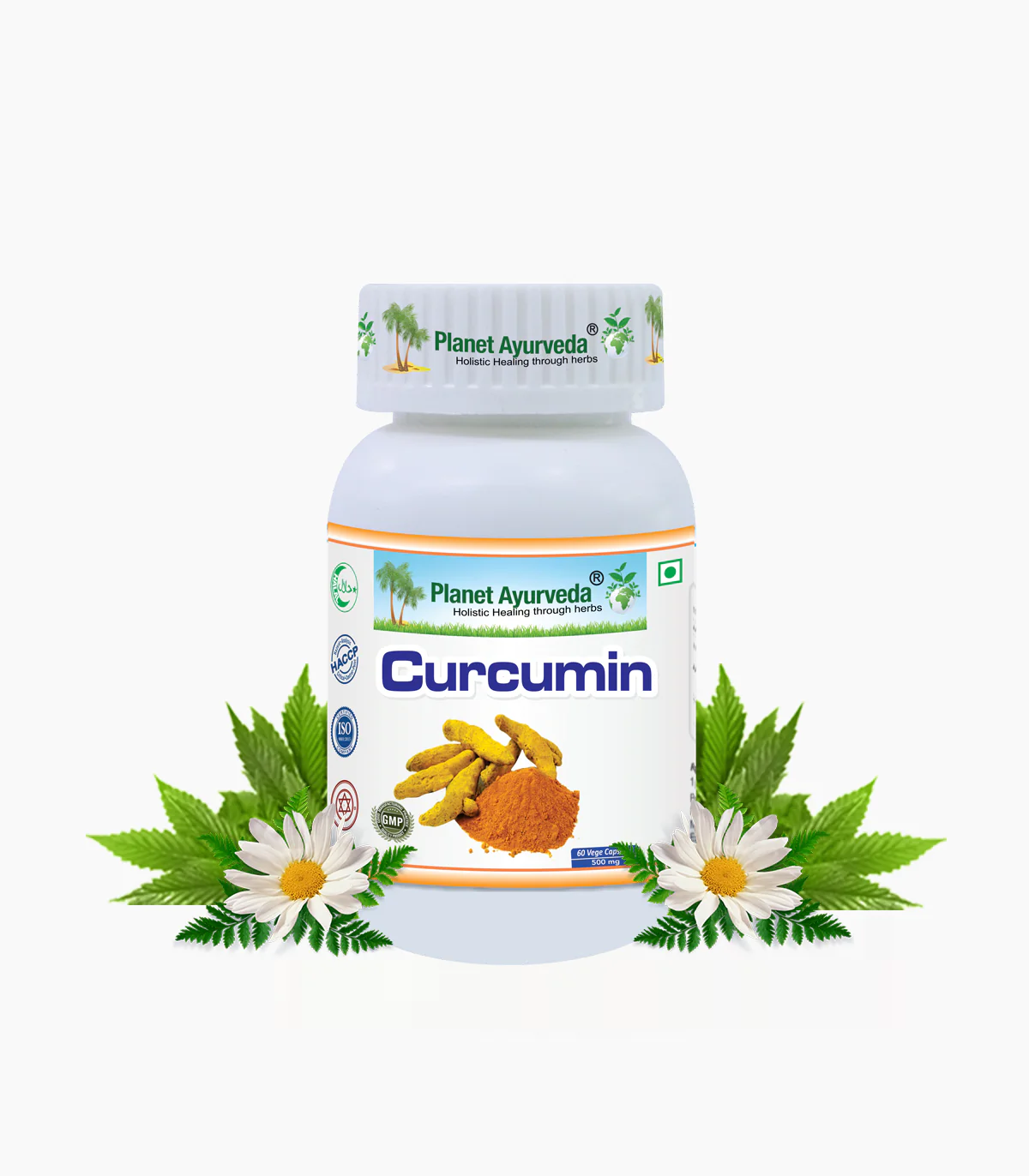 CURCUMIN CAPSULES