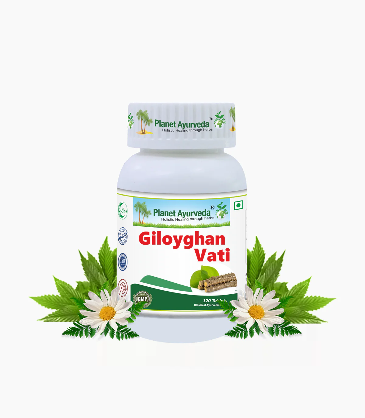 Giloyghan Vati (120 Tablets)