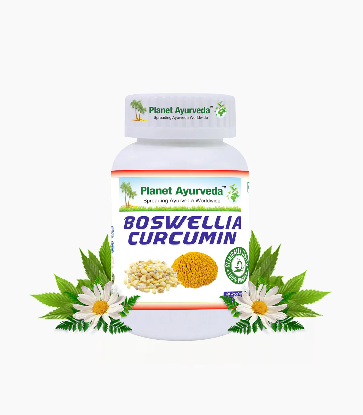 BOSWELLIA CURCUMIN