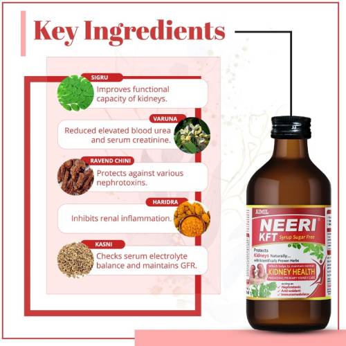 Neeri KFT Syurp