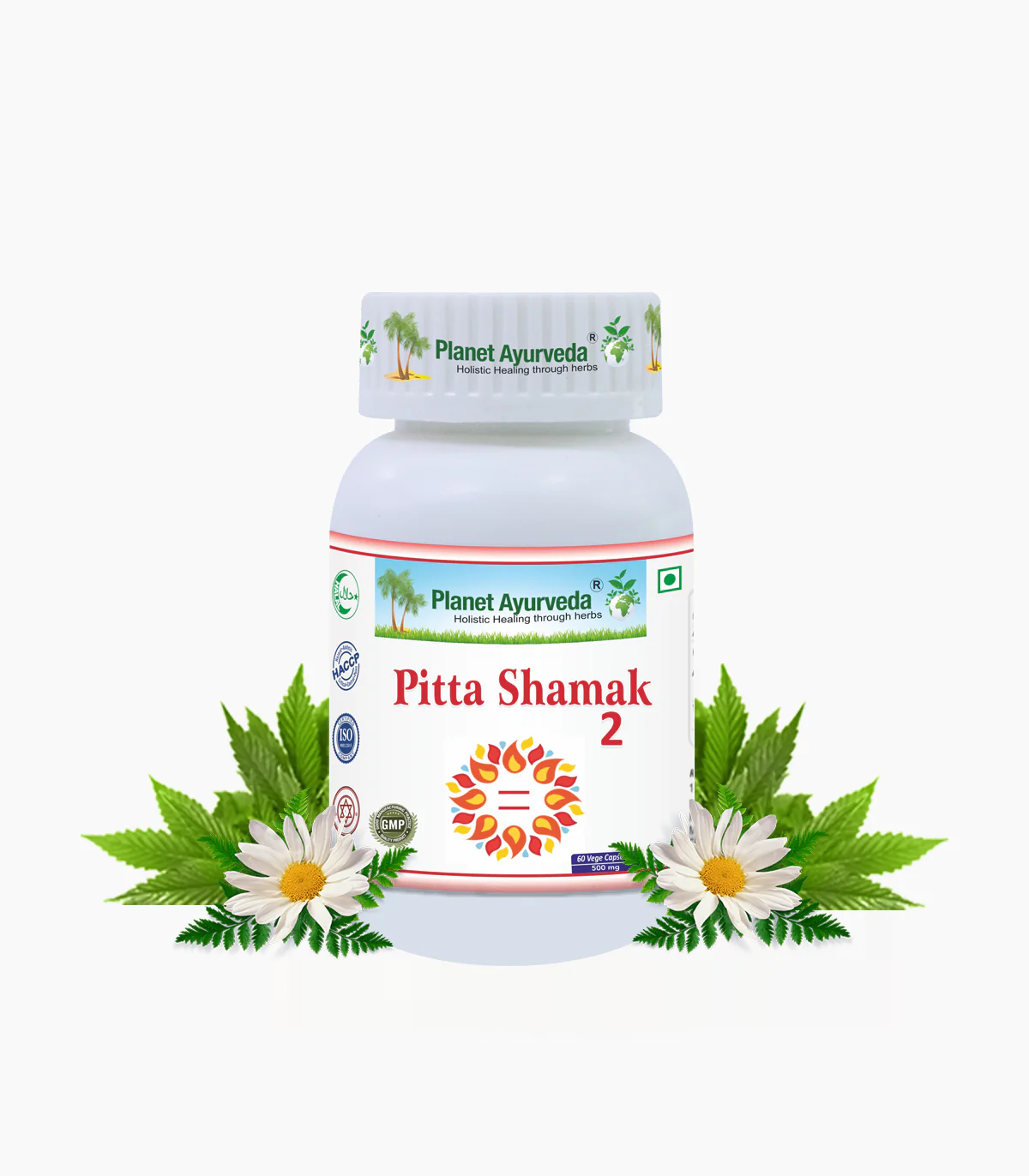 Pitta Shamak-2