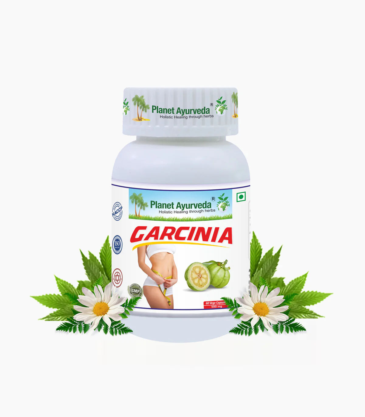 GARCINIA CAPSULES