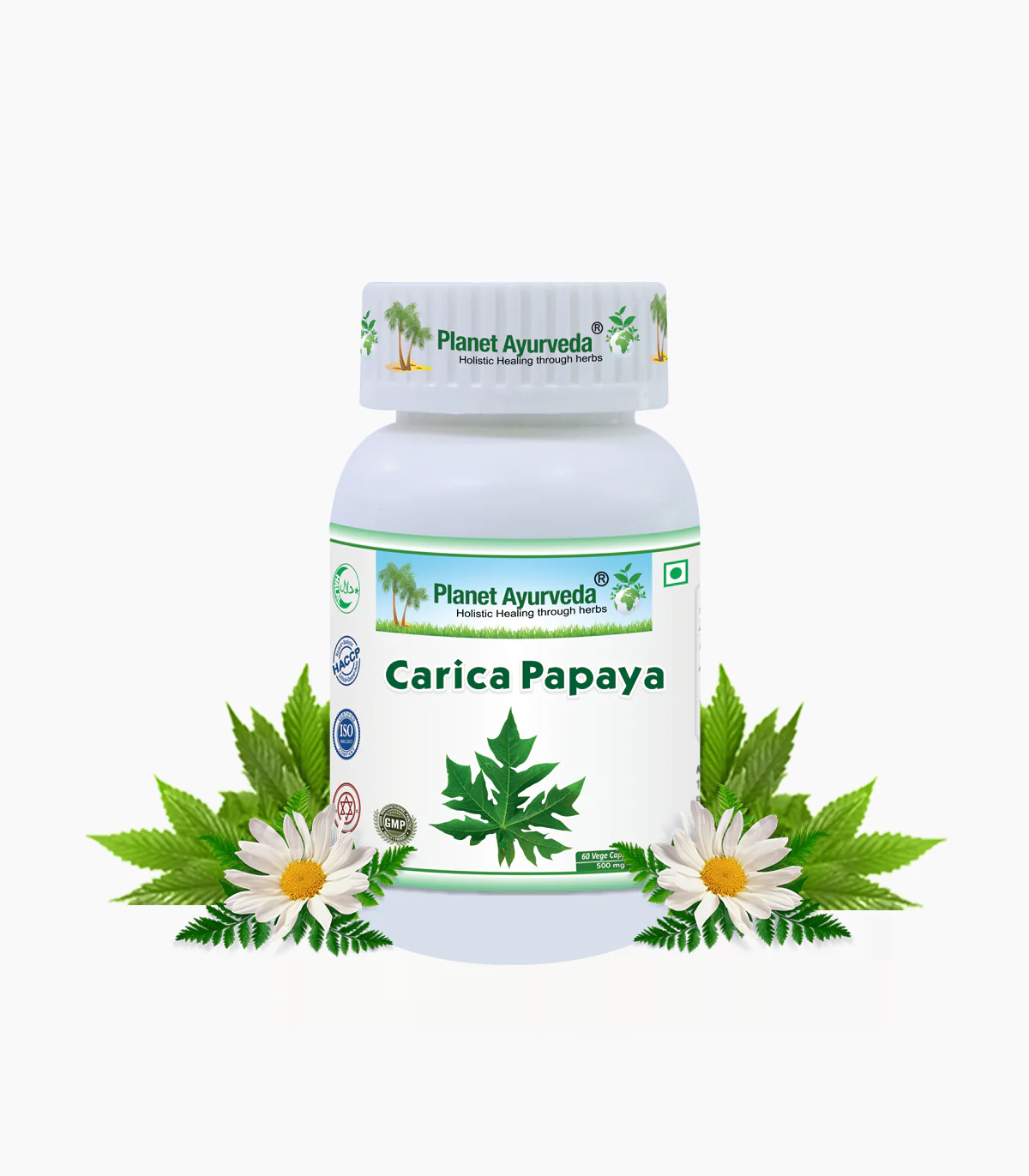 Carica Papaya Capsules