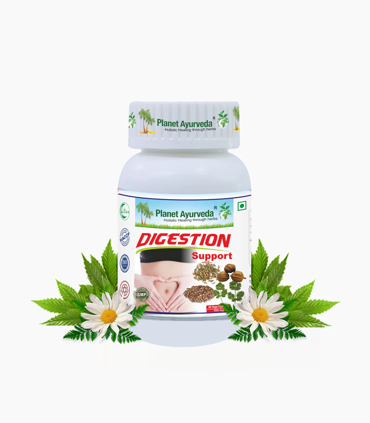 DIGESTION SUPPORT CAPSULES