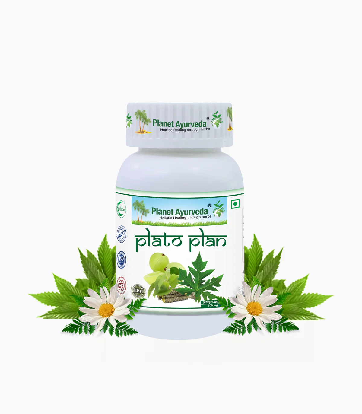 Plato Plan Capsules
