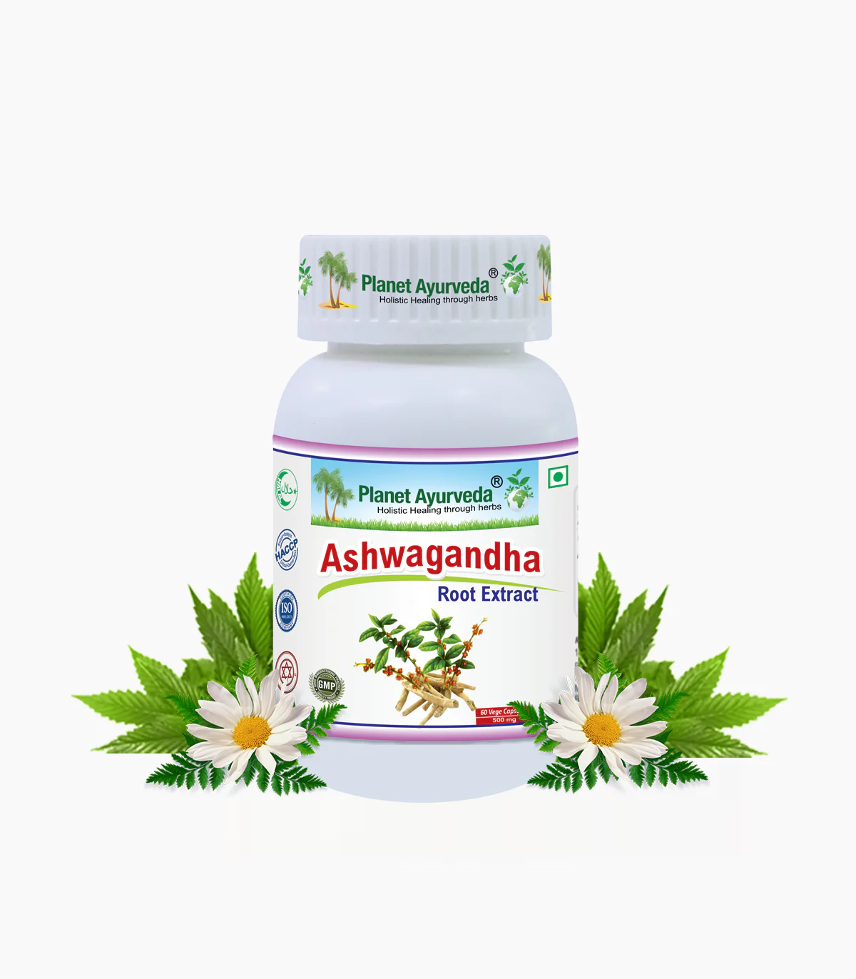 Ashwagandha  Capsules