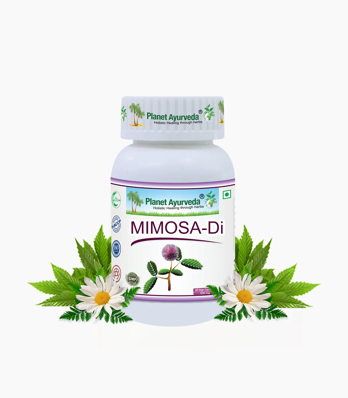Mimosa Di Capsules