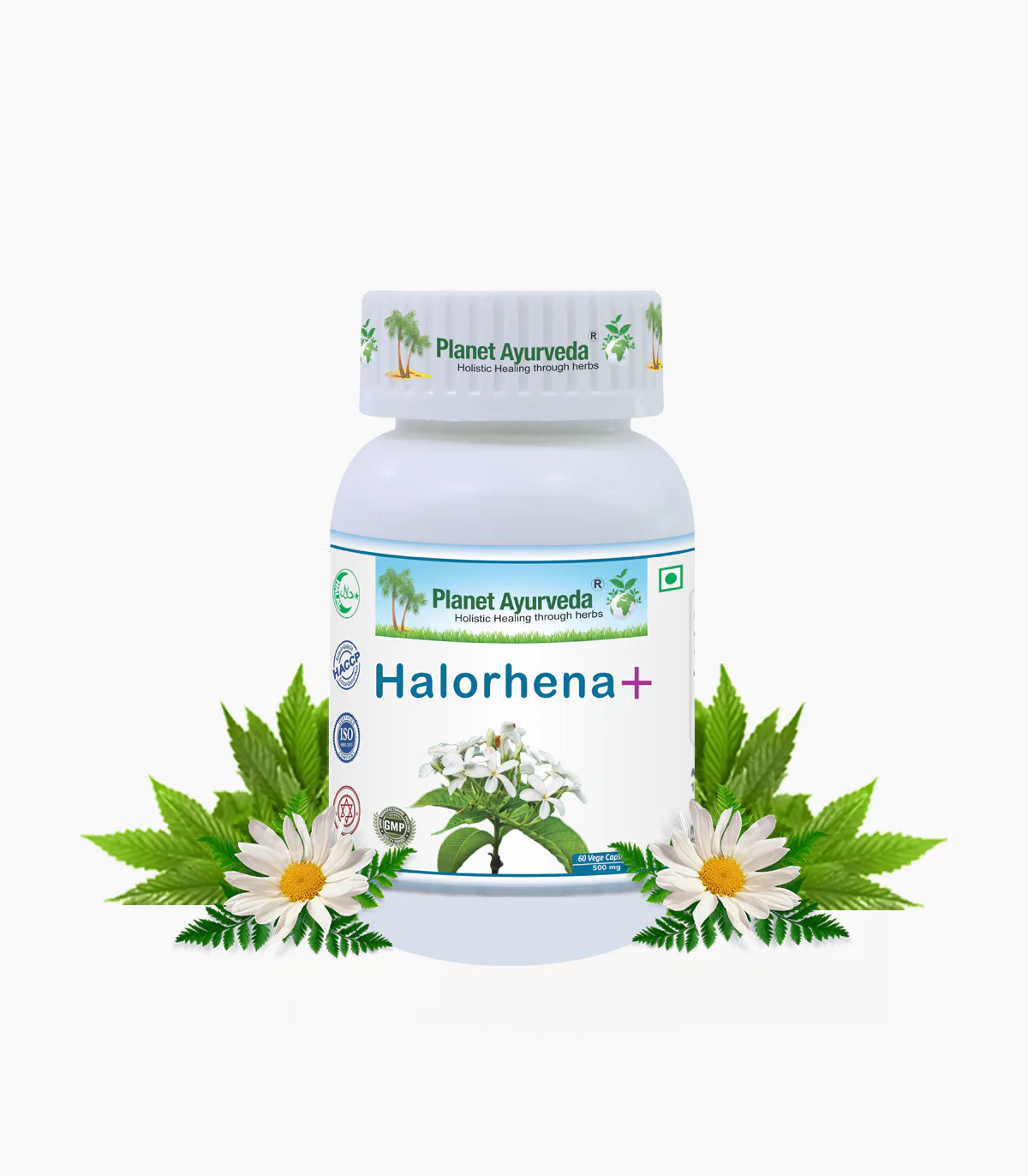 Halorhena + Capsules