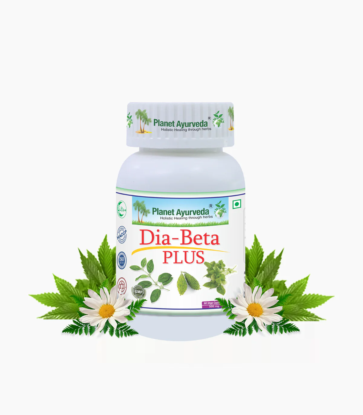 DIA-BETA PLUS CAPSULES