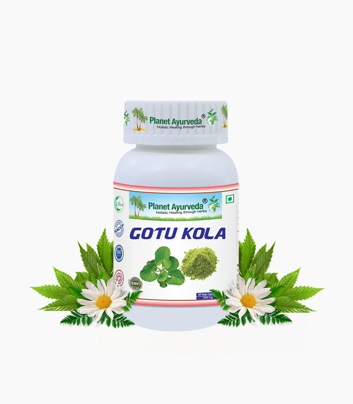 GOTU KOLA CAPSULES