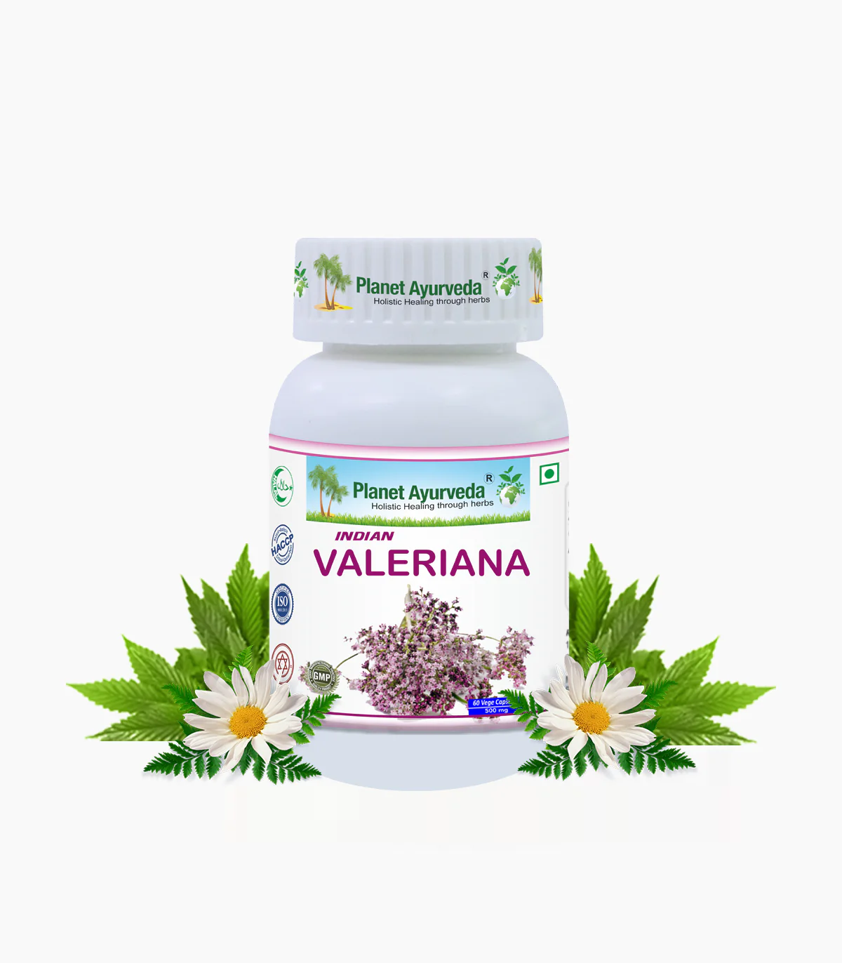 Indian Valeriana Capsules
