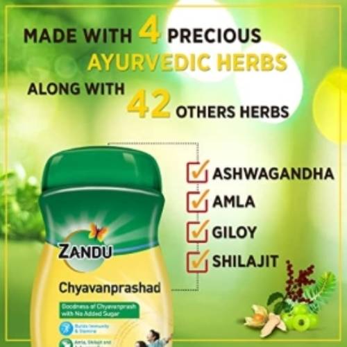 Zandu Chyavanprashad Sugar Free
