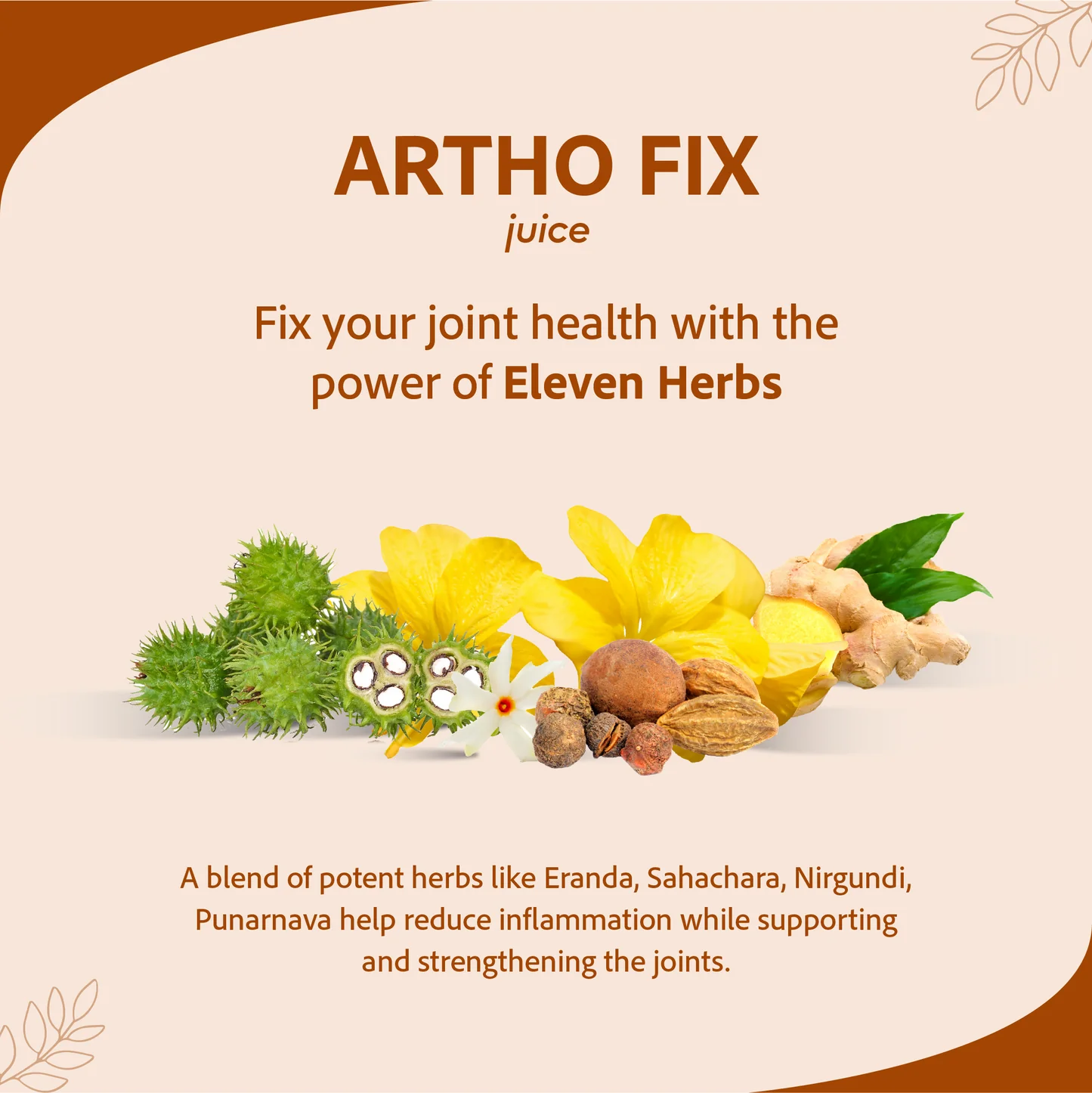 Artho Fix Juice