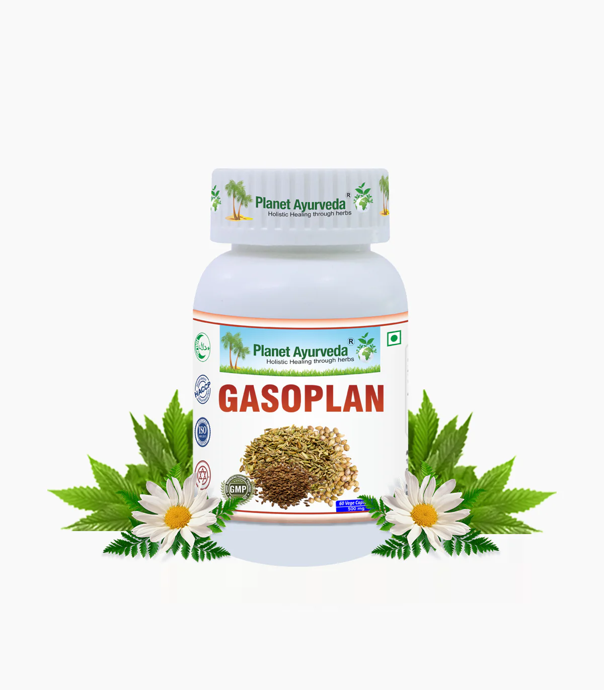 Gasoplan Capsule