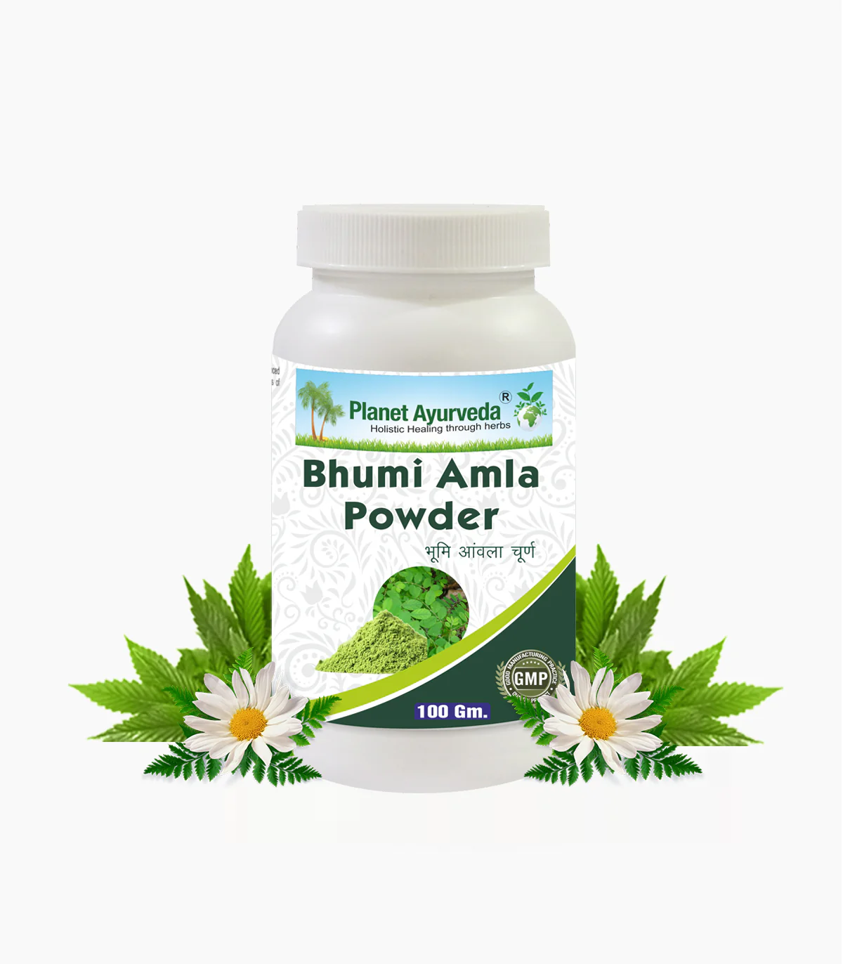 BHUMI AMLA POWDER