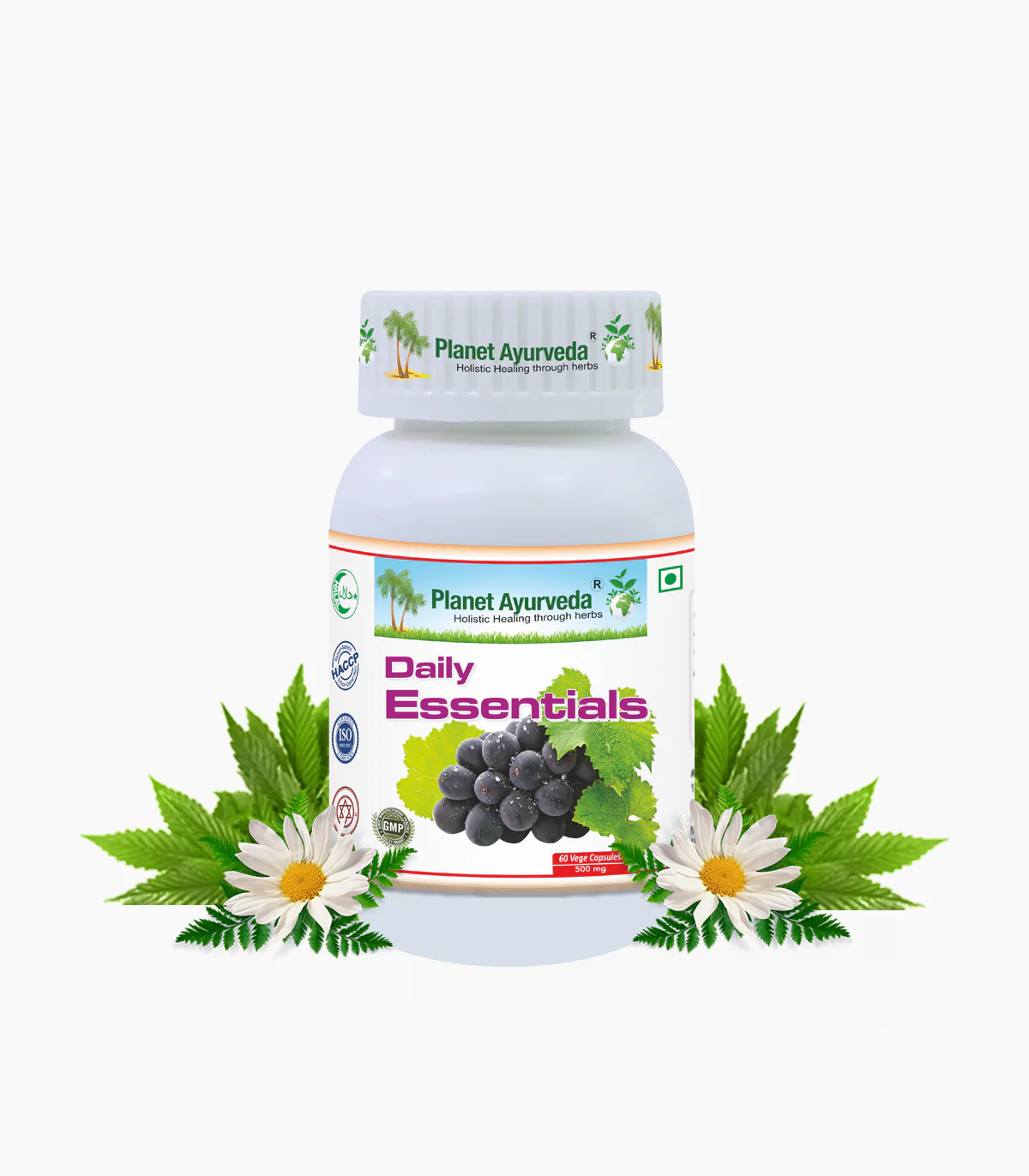 DAILY ESSENTIALS CAPSULES