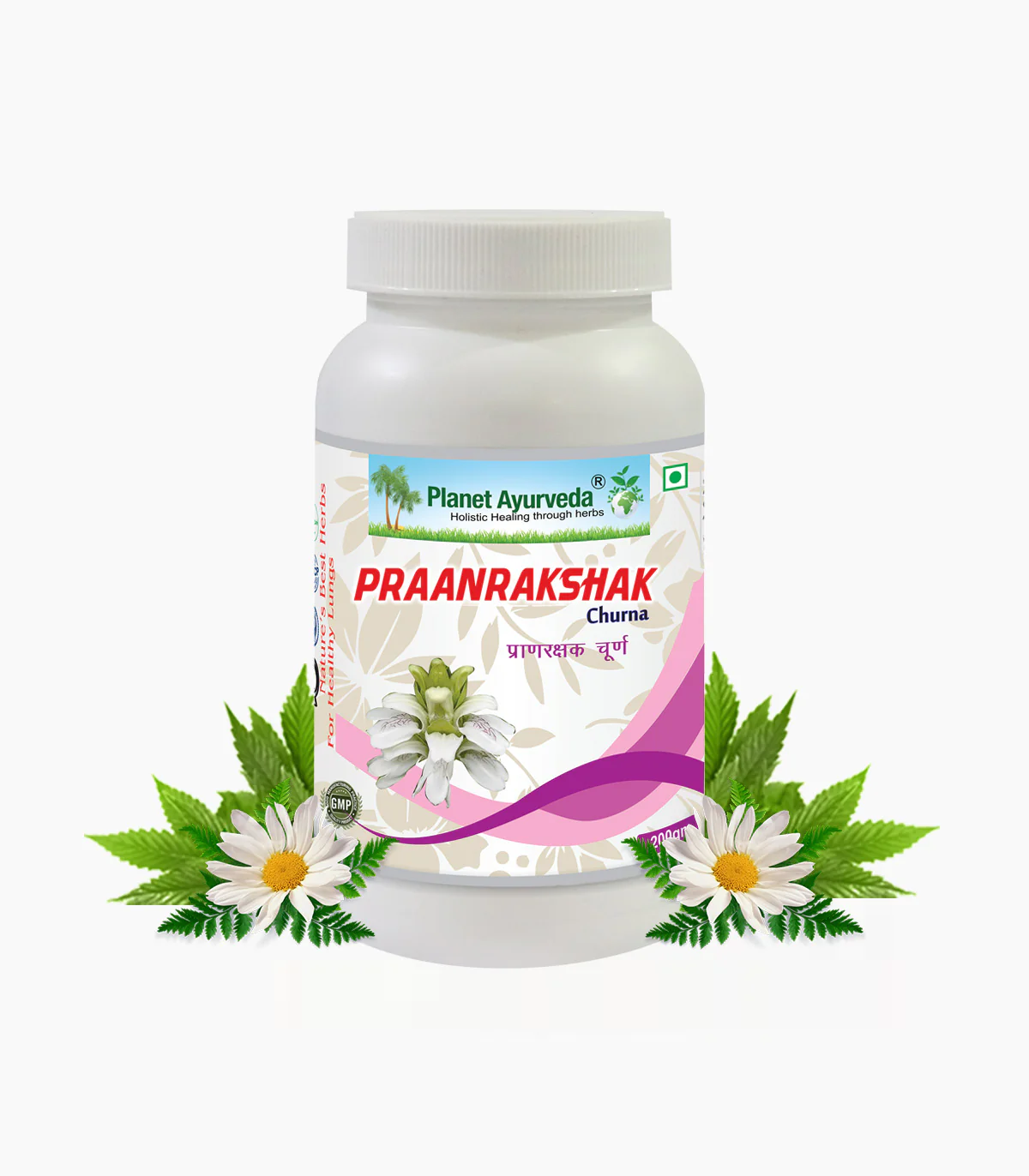 PRAANRAKSHAK CHURNA