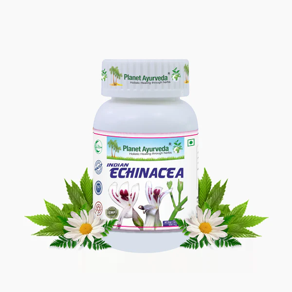 Indian Echinacea capsules