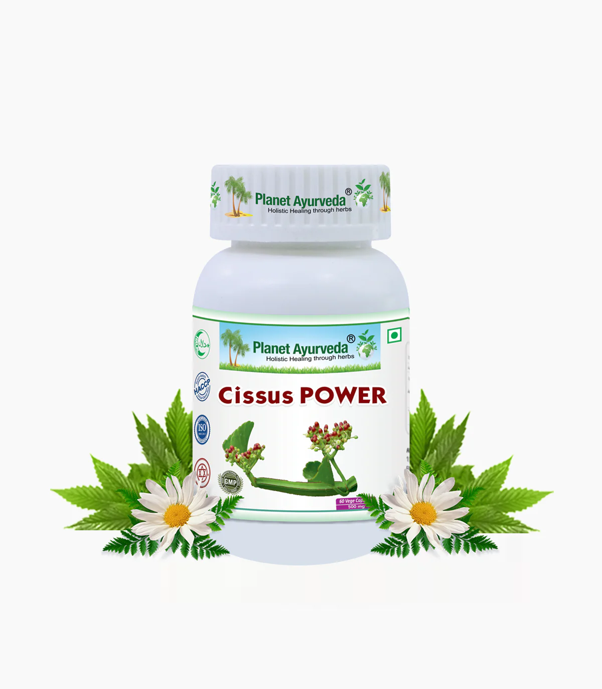 Cissus Power Capsules