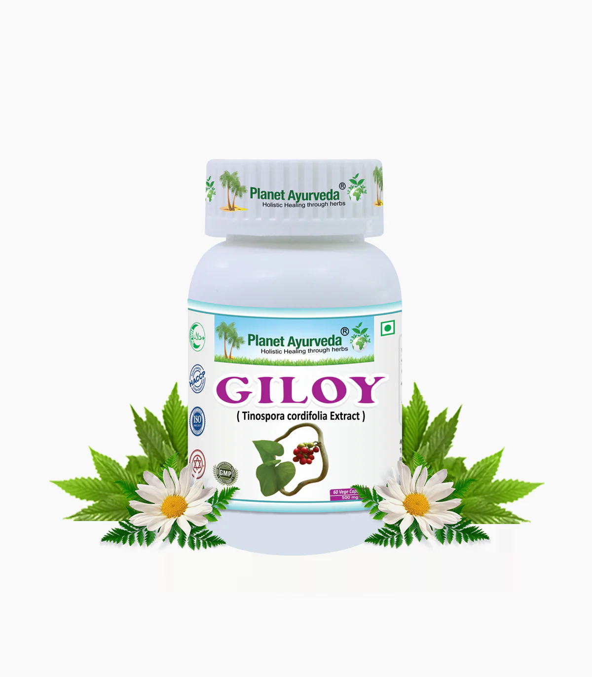 GILOY CAPSULES