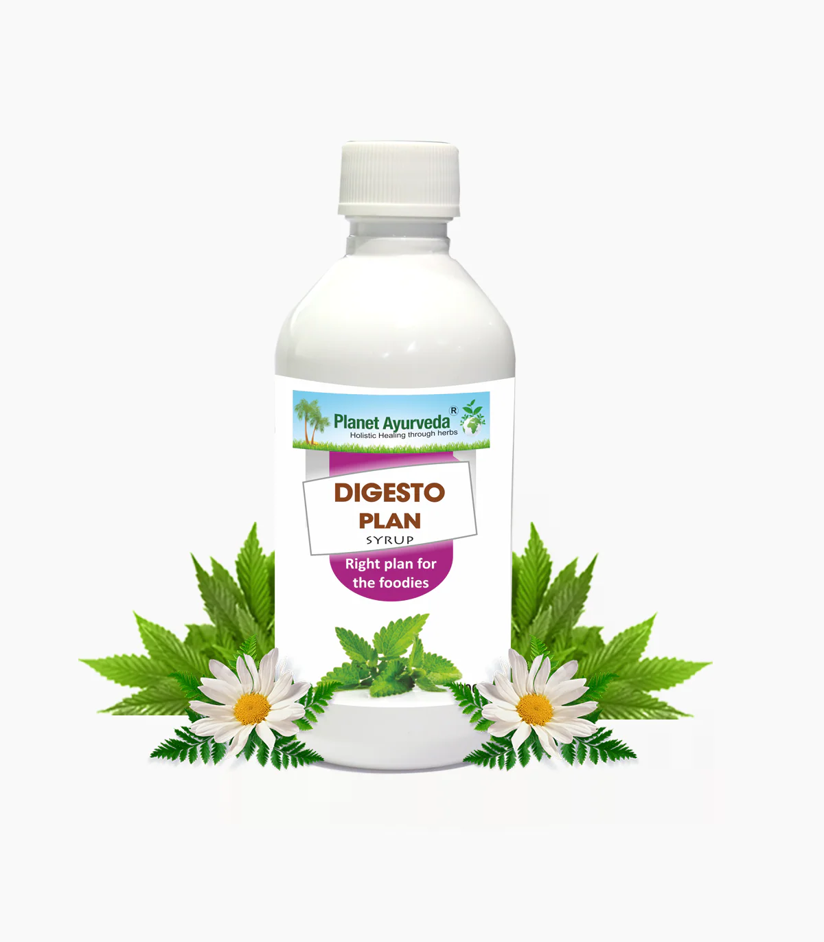 Digesto Plan Syrup